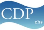 Custom_Data_Processing_logo