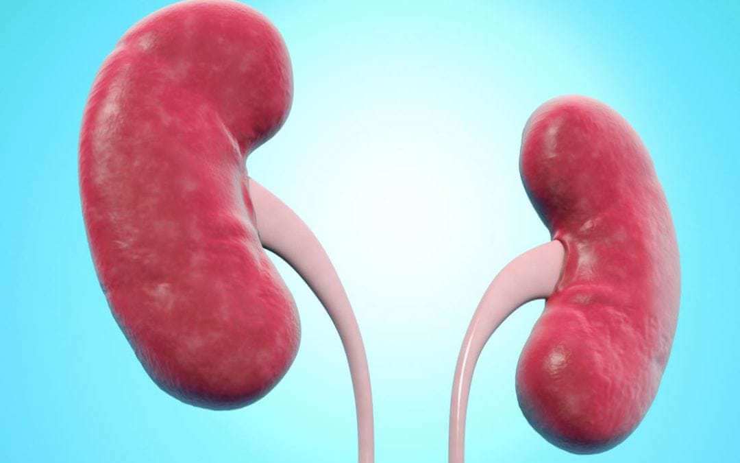 Nephroptosis: Causes, diagnosis, and treatment