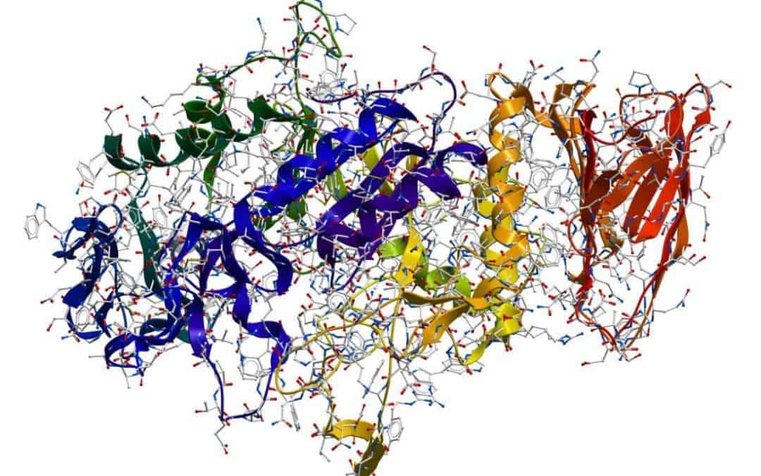 A brief introduction to enzymes