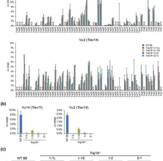 A Novel Mouse Model of iNKT Cell-deficiency Generated by CRISPR/Cas9 Reveals a Pathogenic Role of iNKT Cells in Metabolic Disease