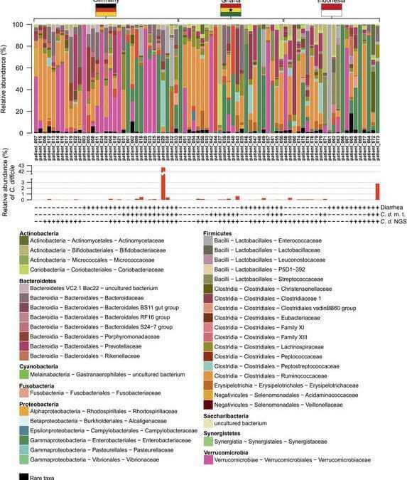 Gut bacterial communities of diarrheic patients with indications of Clostridioides difficile infection