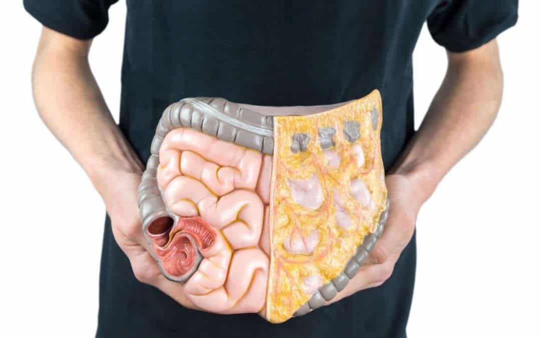 How long does digestion take? Tips for better digestion