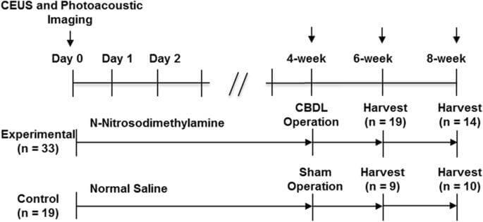 Imaging Monitoring of Kupffer Cell Function and Hepatic Oxygen Saturation in Preneoplastic Changes During Cholangiocarcinogenesis