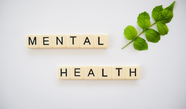 Letters arranged neatly to read 'Mental Health' and how it is important.