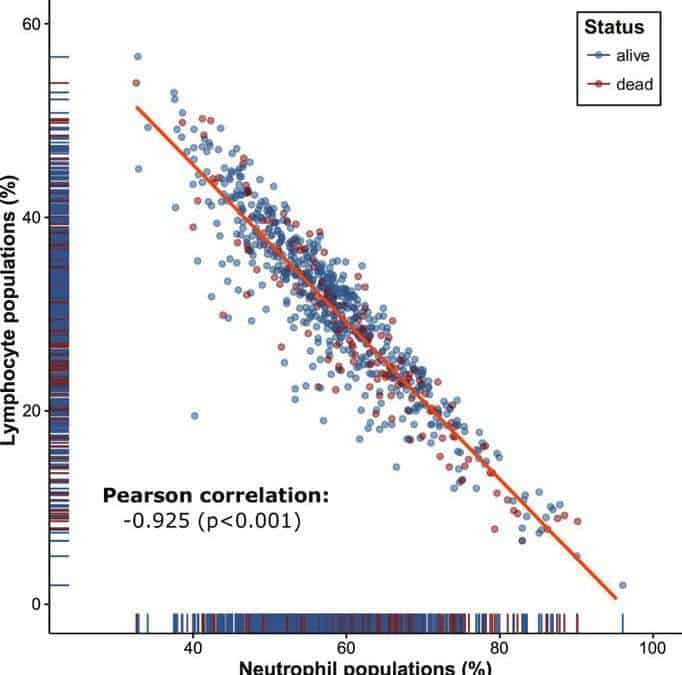 Persistent elevation of postoperative neutrophil-to-lymphocyte ratio: A better predictor of survival in gastric cancer than elevated preoperative neutrophil-to-lymphocyte ratio