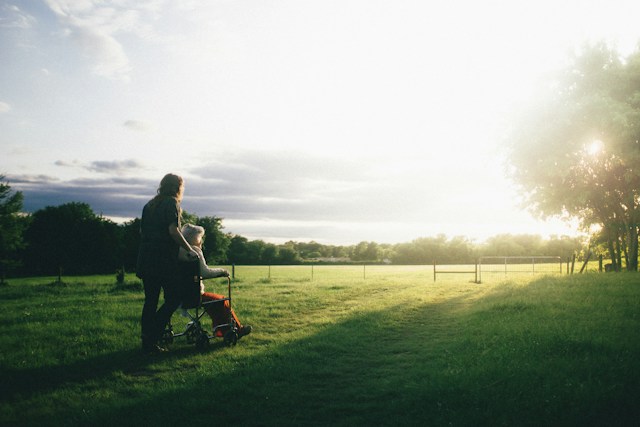 An elderly person in wheelchair with their caregiver in a beautiful meadow.
